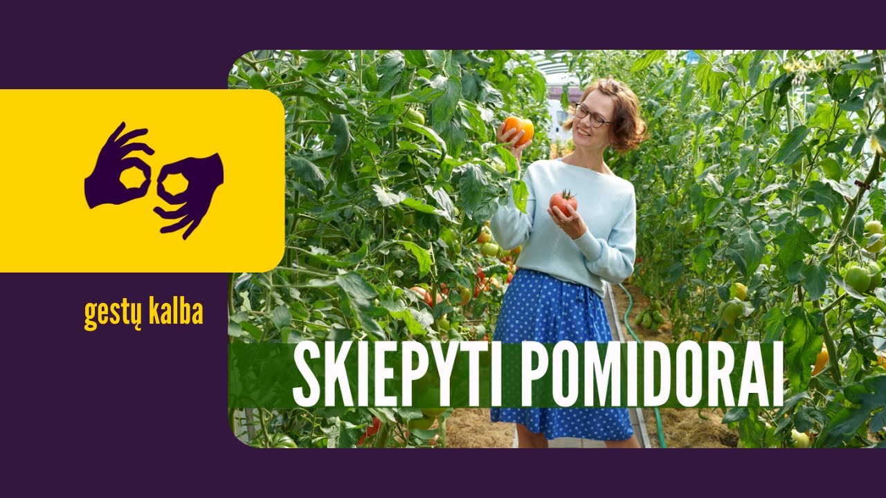 Skiepyti pomidorai: nu žinokit, verta pabandyti / su vertimu į gestų kalbą