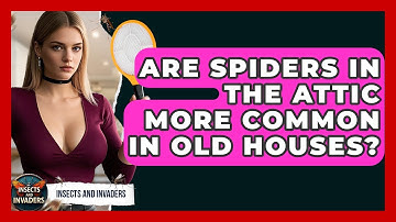 Are Spiders In The Attic More Common In Old Houses? - Insects and Invaders
