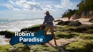 Elbow Beach Kite Surfing