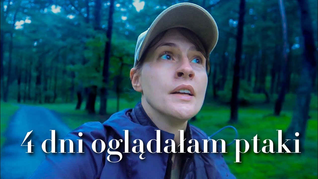 Birdwatching VLOG - najlepsze miejsce do oglądania ptaków w Polsce: Mewia Łacha i Mikoszewo