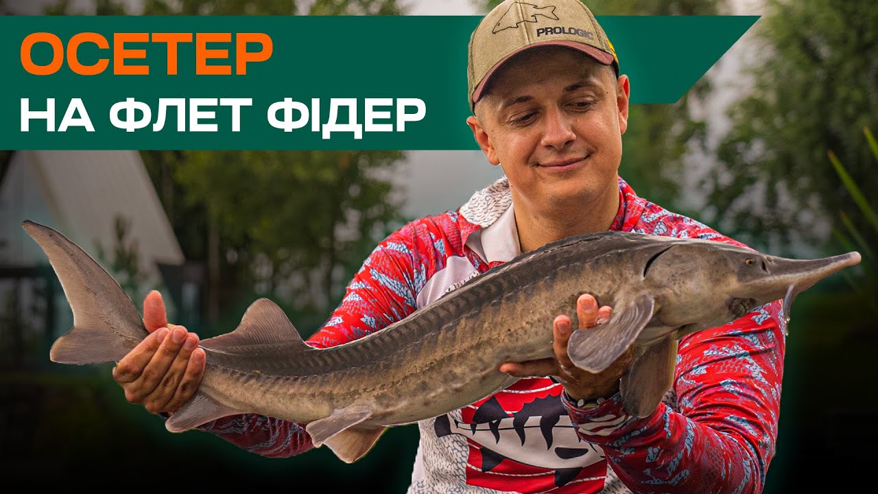 Осетр на флет