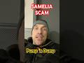 SCAM! $AMELIA crypto on Solana possible pump and dump!