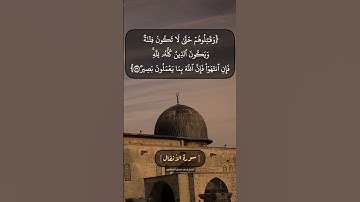 سورة الأنفال الآية ٣٨ الى ٤٠ بصوت الشيخ محمد صديق المنشاوي