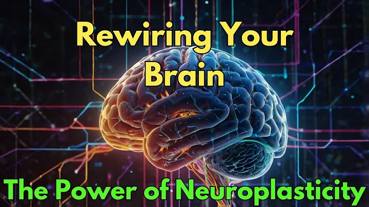 Rewiring Your Brain: The Power of Neuroplasticity with Dr. Lara Boyd