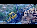 🌲 Holzernte im Steilhang 🌲 Steep Slope Logging 🌲HSM 405H & HSM 208F 🌲