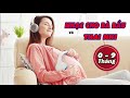 Nhạc bà bầu 0-9 tháng giúp Bé thư giãn thông minh ngay trong bụng mẹ - NHAC THAI GIÁO THÔNG MINH