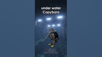 top 5 rust capybara part 5 #shorts