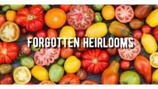 Tomato Seeds Haul/FORGOTTEN HEIRLOOMS/a new project I’m about to start