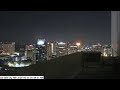 San José City Hall Peregrine Falcon Camera - Ledge