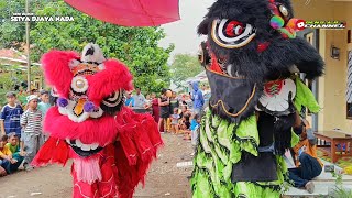 Barongsai Jatuh Gagal Fokus ~ Grand Launching || Burok Setya Djaya Nada - Rungkang Losri 26 Jan 2026