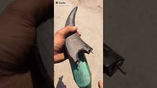 tanduk kerbau menjadi sesuatu yang cantik