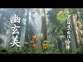 幽玄美 (yūgenbi) • Misty Forest Lilies • Profound Beauty