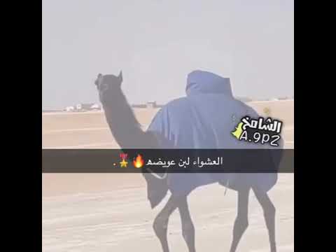 العشواء لبن عويضهـ 