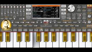 Ay Eyvandakı - Zurna 2024 Super - Org 2021