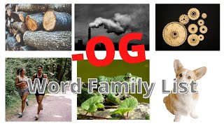 Words End With OG - Basic High Speed Flash Card | Right Brain Training News