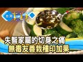 退休老頑童的“油”戲人生｜月光山印加果油｜【台灣真善美】2023.06.04