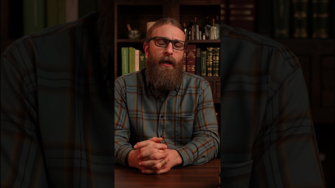 Spring Clean Your Body with Alteratives 🌿