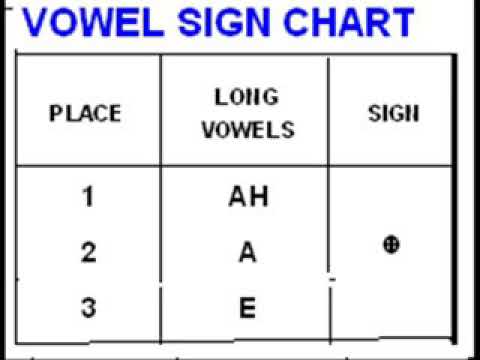 Steno Chart