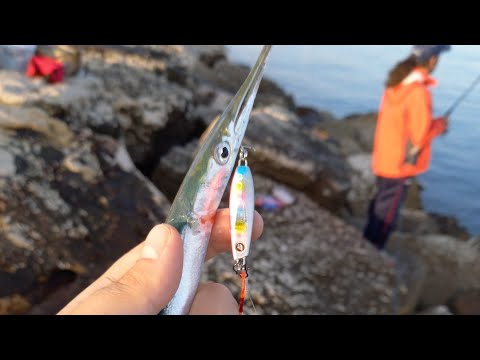 თევზაობა პილკერით სარღანზე.  pesca con light spinning,ultralight fishing in puglia