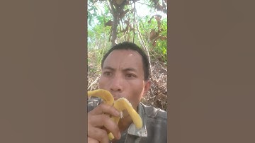 Cách ăn chuối đúng kĩ thuật 🤣🤣🤣