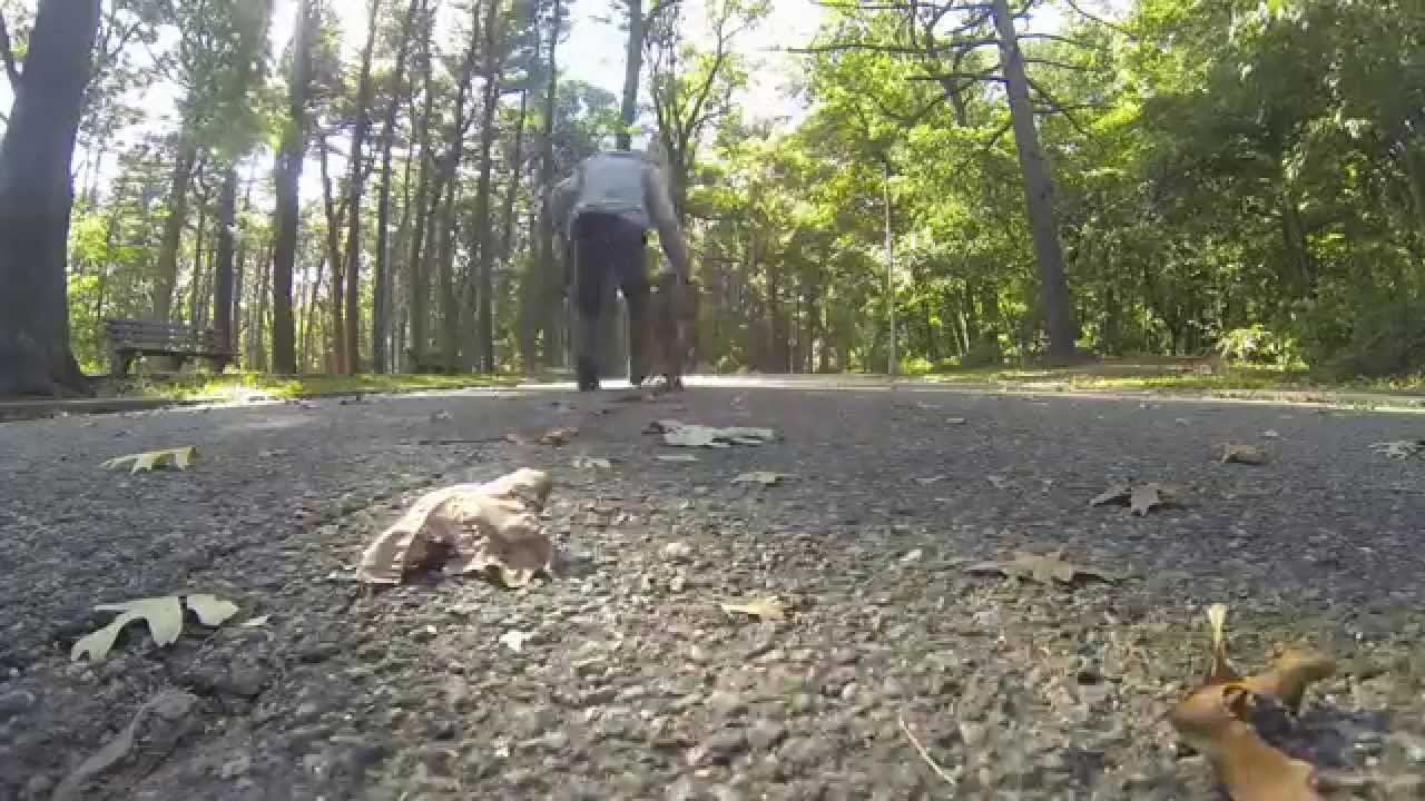 Max Vlog#4 - Pit Bull Puppy Dog Training - Day at the park