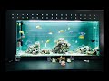 Watch Live Stream Aquarium Fish-Tank(Part68)/Смотрим Прямую Трансляцию-Аквариум Рыбный Танк(Часть68)