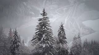 Antonio Vivaldi - The Four Seasons “Winter” Resimi