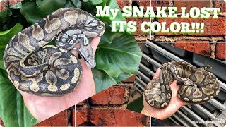 Famous 2018 LOCKS AND MORE Wealth