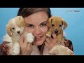 THE Most EXPENSIVE DOG BREEDS In The World