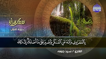 تلاوة هادئة من سورة " لقمان" || للقارئ الشيخ : سيد جمعة || من مختارات المجد HD
