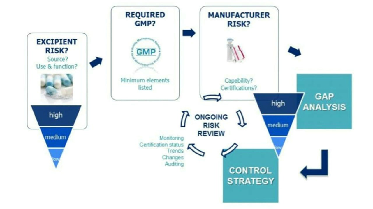 Формализованная оценка рисков  Вспомогательные вещества  Требования GMP