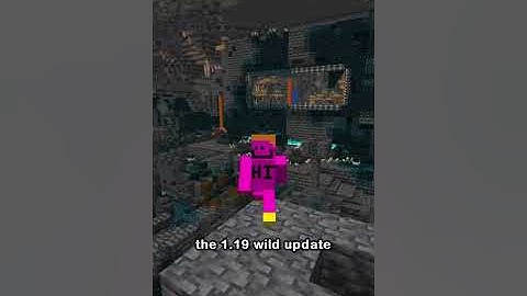 The Wild Update Has RELEASED (1.19 is OUT)