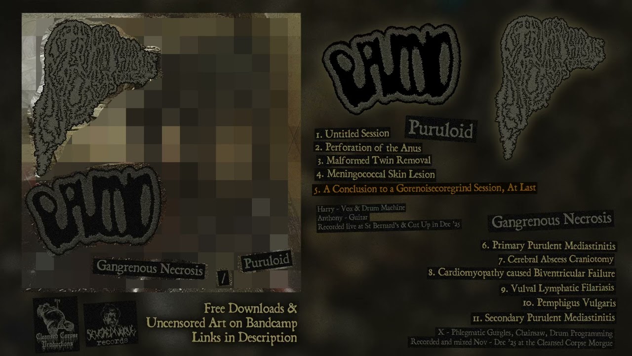 Puruloid / Gangrenous Necrosis - Split (Goregrind/Gorenoise/Noisecore - 2025) VANITY
