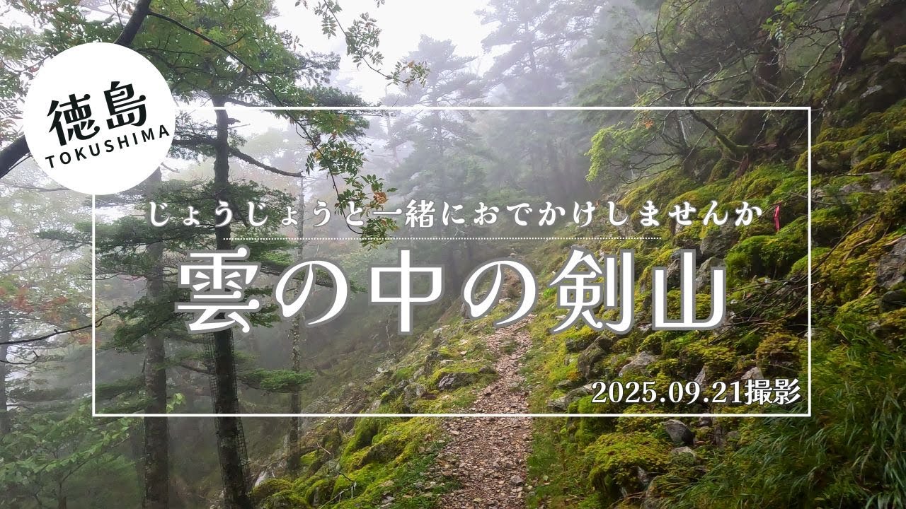 【徳島】じょうじょうと一緒に剣山の遊歩道ハイキングへお出かけしませんか　最後にようやく晴れ間が…!