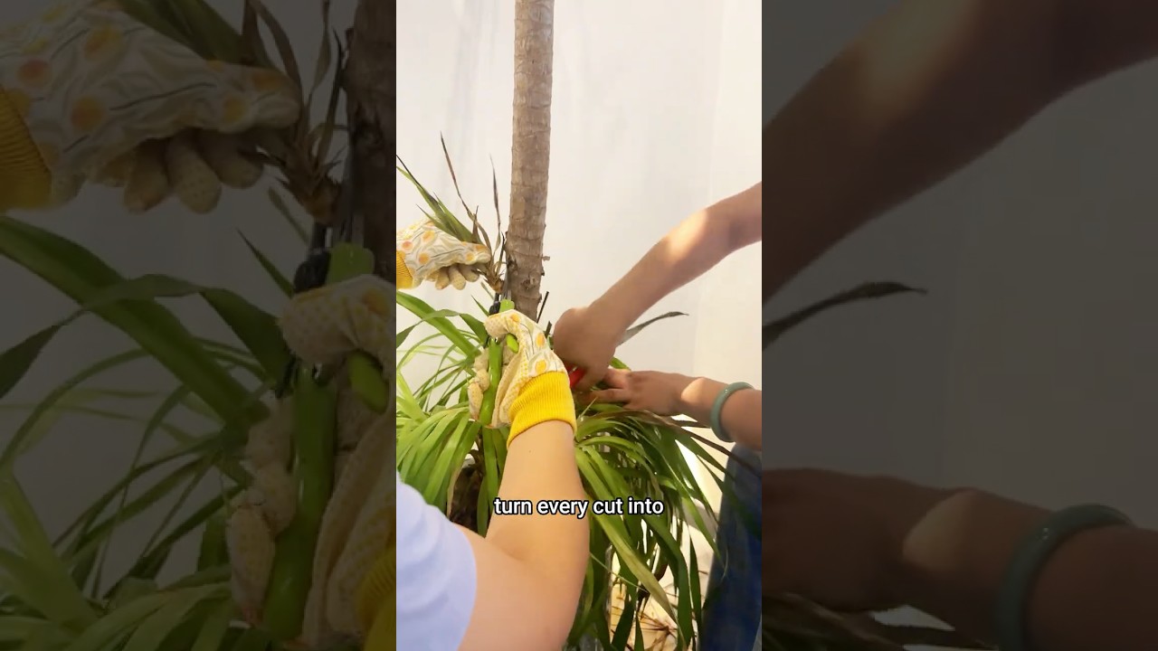 Effortless Gardening ✂️ Sharp Pruners for Every Cut 