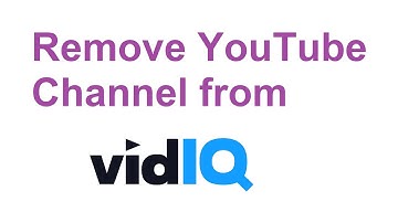 How To Remove Your YouTube Channel From vidIQ Account