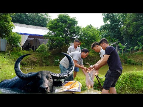 Video Lần Đầu Xem Đám Cưới Người Thái Đen Cỗ Nháp Bản Thái... - youtube