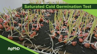 Saturated Cold Germination Test (From Ag PhD Show #1134 - Air Date 12-29-19)