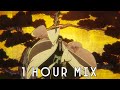 Kyoraku Bankai Theme Bleach TYBW S3 EP9 OST 1 HOUR MIX 