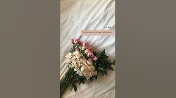 سورة هود القارئ ماهر المعيقلي💗#القرآن_الكريم#ماهر_المعيقلي#سورة_هود