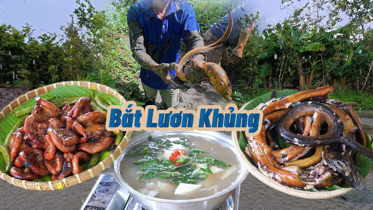 Bắt Lươn nấu nồi măng chua 