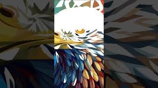 gambar burung elang #viral #shortsvideo #video #fypシ #fypシ゚viral #gambar #burung #elang