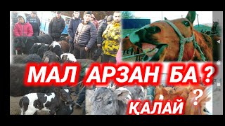 ЖҰМА МАЛ БАЗАРЫ | АРЗАН МАЛДАР | МАЛ БАЗАР 2024