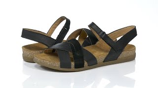 El Naturalista Zumaia N5242 Sku 9211414