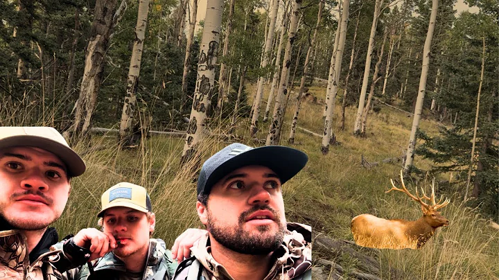 2025 Public Land Archery Elk Hunt (Part 1)