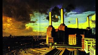 Pink Floyd  - Sheep / Pigs on the Wing