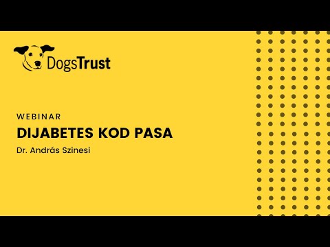 Video: Kako spriječiti dijabetes kod pasa?