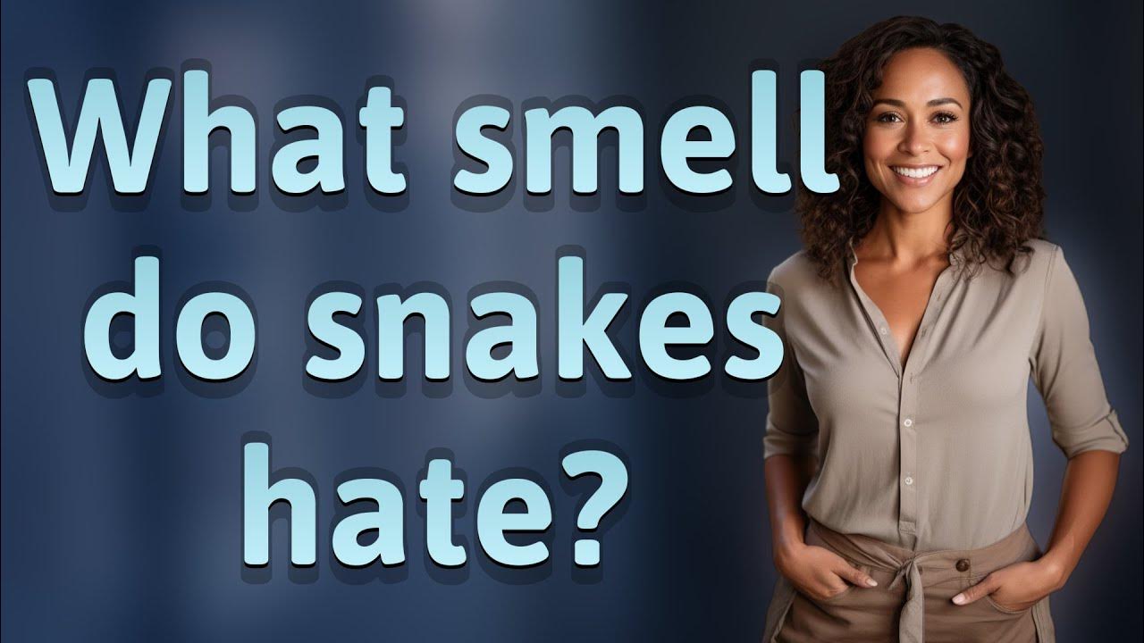 What smell do snakes hate? YouTube