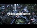 Swedish armed forces 2019