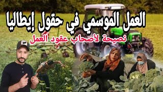 بحال هاد الوقت جيت للعمل في حقول إيطاليا/ نصيحة لصحاب عقود العمل الموسمية